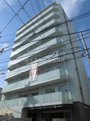 MODIER YOYOGI