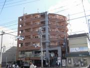 GATO D.M 北山