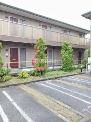 コンフォートテクノII