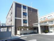 コンフォルタ