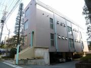 t-twin