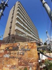 南海本線泉佐野駅まで徒歩7分
