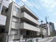 アネックス1