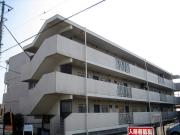 伊豆箱根鉄道駿豆線三島二日町駅まで徒歩13分