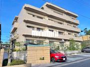 マルベリーヒル山中