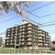 ドミ中屋
