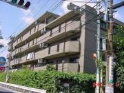 都営大江戸線光が丘駅まで徒歩13分