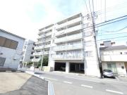 藤ハイム