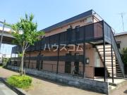 アムール白樺
