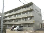 T-フラット204