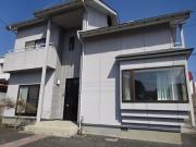 フォレストブルーB