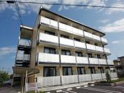 ニューセレッソ