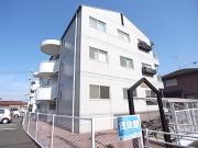 スプリングコート長谷川I