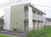 藤