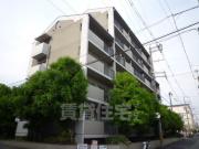 カンタル御影