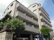KOA吉祥寺