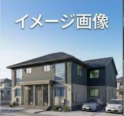 セジュール・万年青