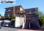 三渓ヒルズ D棟