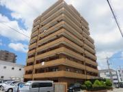 朝日プラザエザース欅通