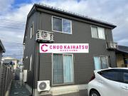 Novさくら通り