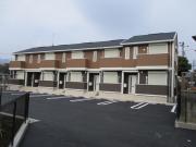 エヴァーグリーン光林