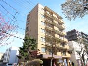 ダイアパレス円山