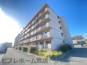 ソルレヴェンテ平岡