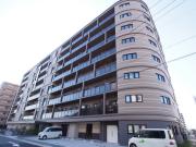 幸court narasanjo