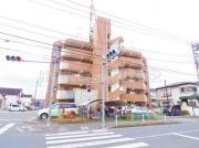 アンデス日興
