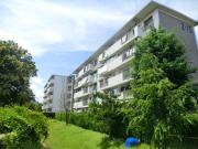 新座団地2街区15号棟