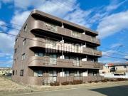 Comfort palace
