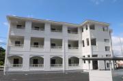 domus alba