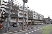 セレニテ甲子園II