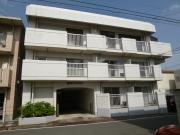 清水マンション