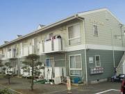 アクティブ小町