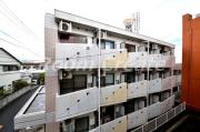 シティメゾンフェニックス住吉