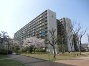 （こと×こと）山科市営住宅 2棟