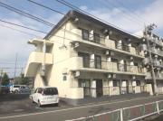 べルス清新
