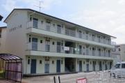 コスモス18