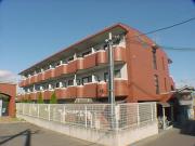 Orchid court
