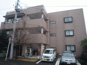 セレッソ菜根