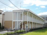 ロン
