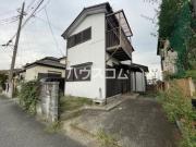 風と春色のルピシア