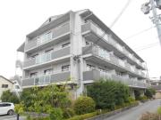 GMY千里園