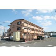 Shibuya一番館