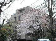 ＪＲ山手線目黒駅まで徒歩4分