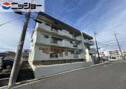 ボックスエイト