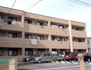 クール