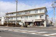 ルミエール打中