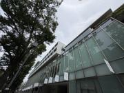 表参道ヒルズゼルコバテラスE